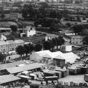 cattle-market-2